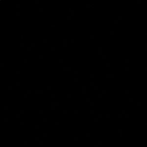 Meet your Posher, Noah